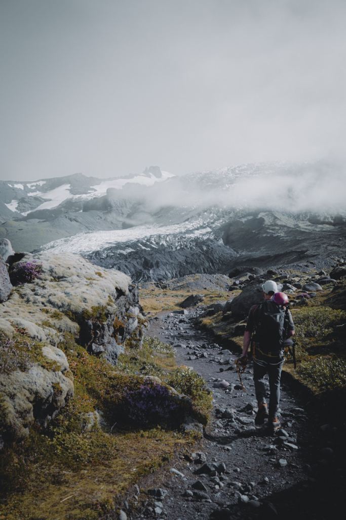 man in black jacket and black pants standing on green grass field near snow covered mountain